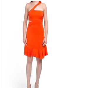 BCBG dress
